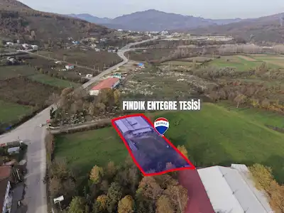 REMAX DIA'DAN DÜZCE CUMAYERİN'DE FINDIK ALIM TESİSİ 