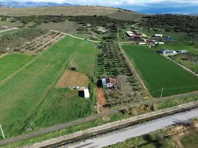FOÇA GERENKÖYDE SATILIK HİSSELİ TARLA