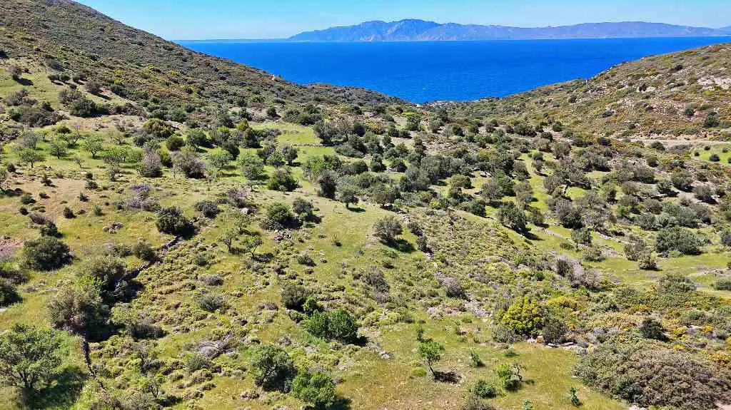 DATÇA YAZI'DA SATILIK TARLA - TINY HOUSE'A UYGUN YOLU VAR