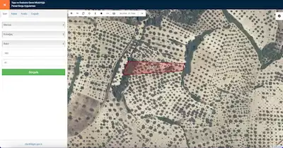 MANİSA KIRKAĞAÇTA SATILIK 3.539 M2 TEK TAPULU ZEYTİNLİK