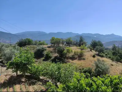 DENİZE VE TURİSTİK NOKTALARA KOLAY ULAŞIMLI | SATILIK 4.575 M² TARLA