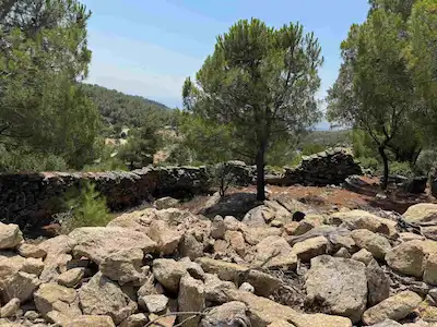 MİLAS KETENDERE MAHALLESİNDE YOLA MERKEZE YAKIN 4.147M2 ZEYTİNLİK