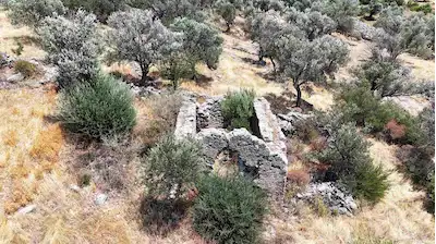DATÇA'DA | DENİZE YAKIN | 1.390 M² ZEYTİNLİK | YOLA CEPHELİ YATIRIMLIK
