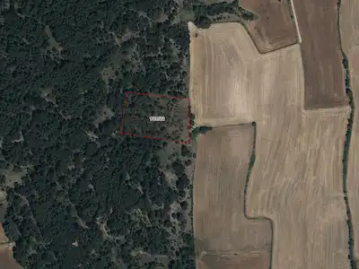 UŞAK BANAZ PAŞACIK’TA 5.075 M² TEK TAPU SATILIK TARLA