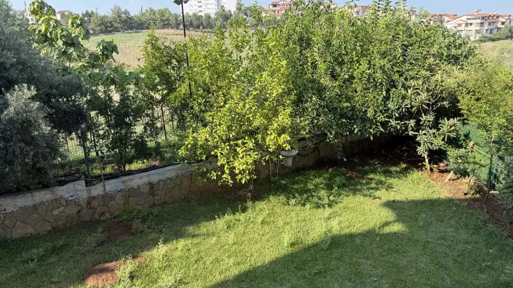Property image 53