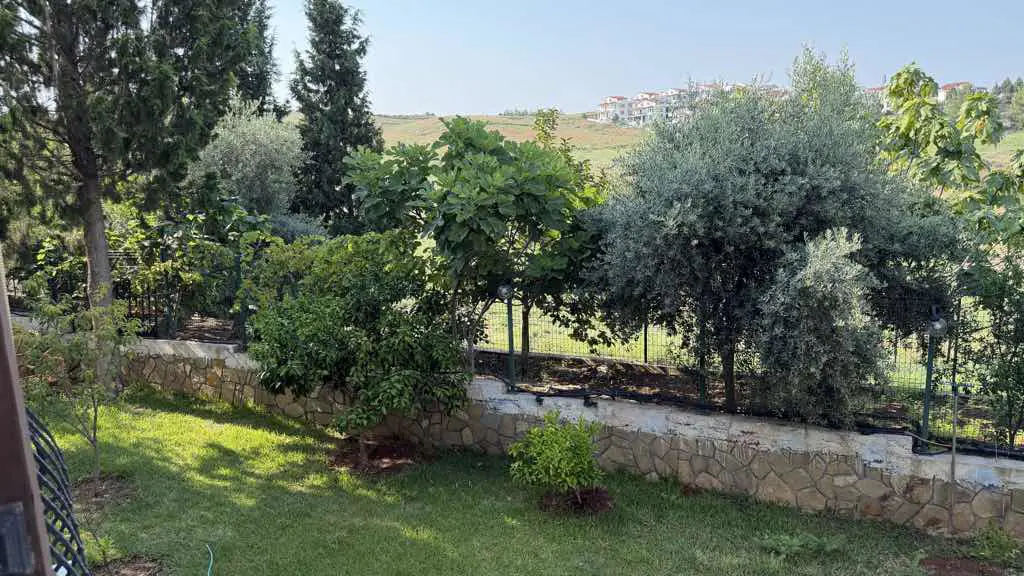 Property image 52