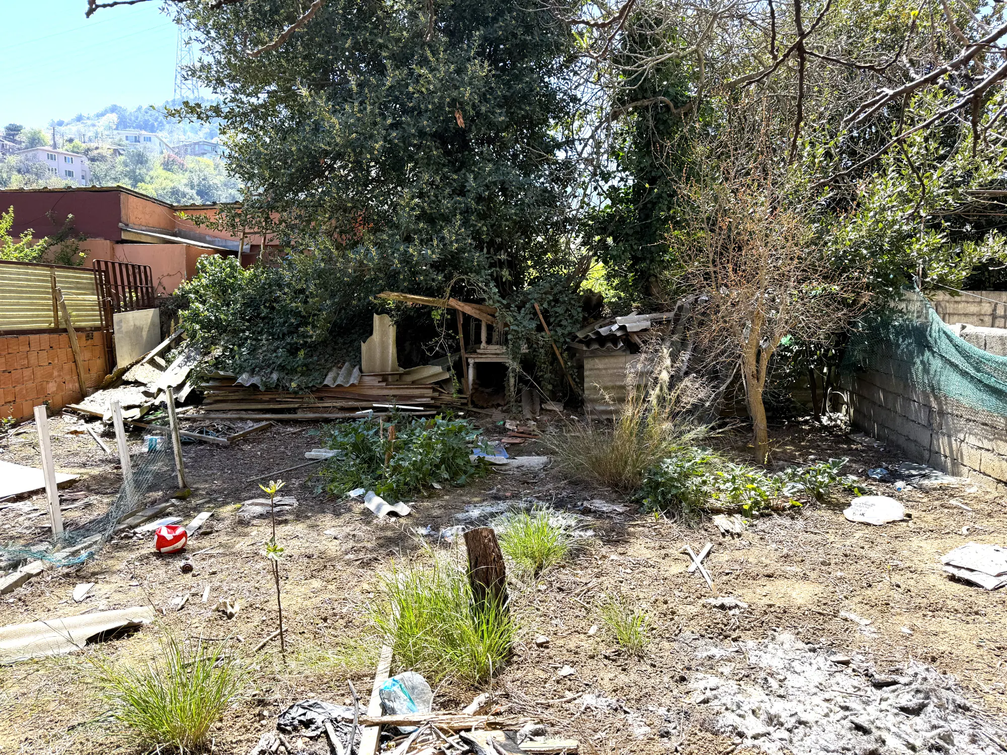 Property image 23