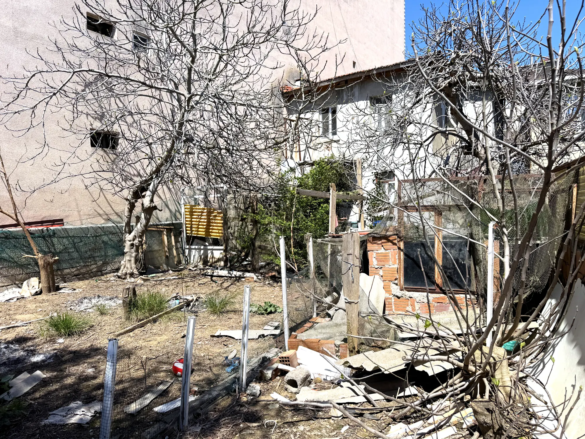 Property image 22