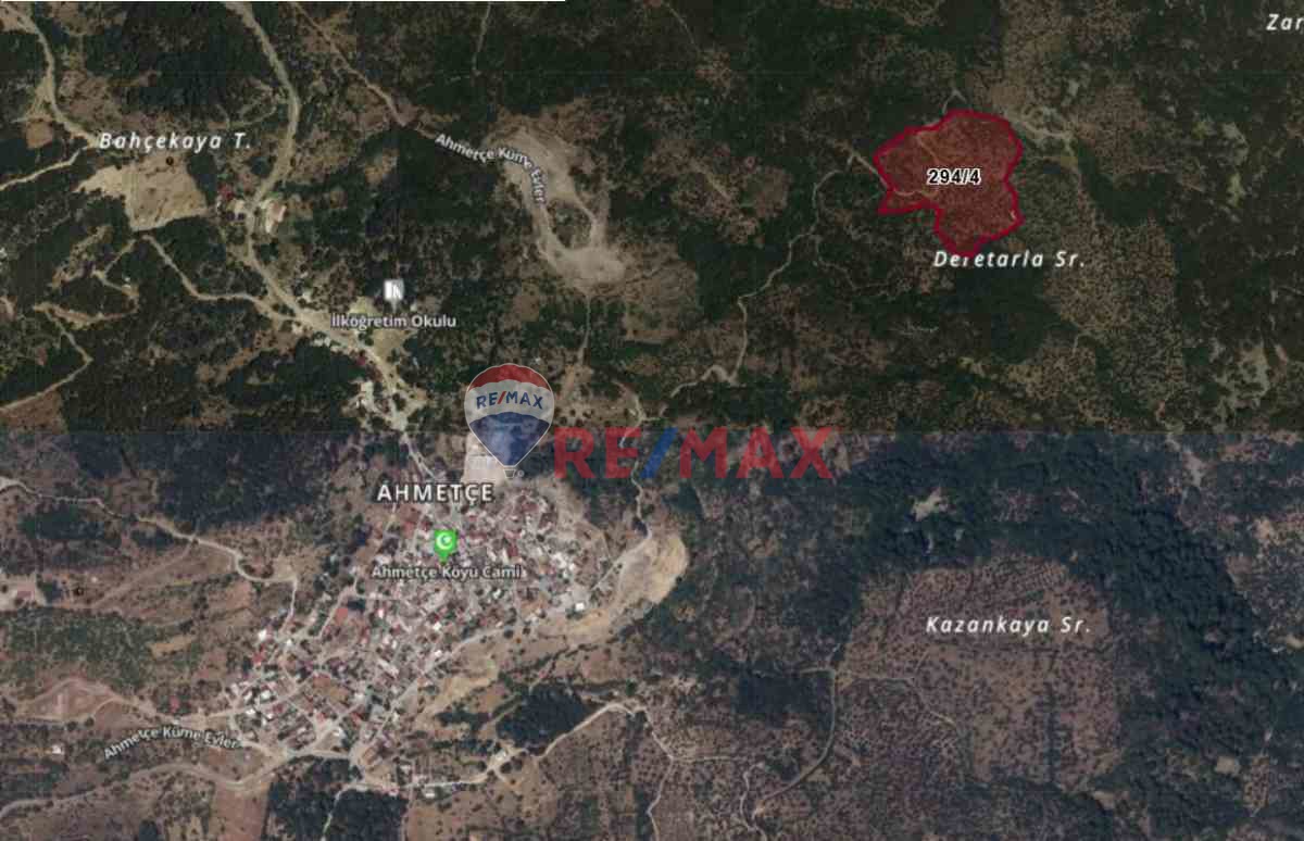 ÇANAKKALE AYVACIK AHMETÇE KÖYÜ SATILIK TEK TAPU  ZEYTINLIK