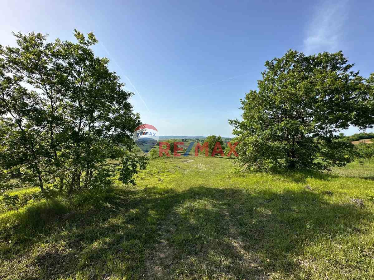 KOCAELİ KANDIRA GONCAAYDINDA ASFALT YOLA CEPHE OSB'YE YAKIN SATILIK 1925M² TARLA