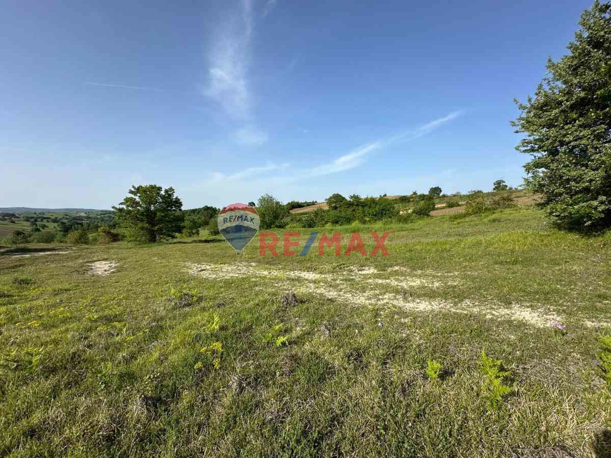 KOCAELİ KANDIRA GONCAAYDINDA ASFALT YOLA CEPHE OSB'YE YAKIN SATILIK 1925M² TARLA