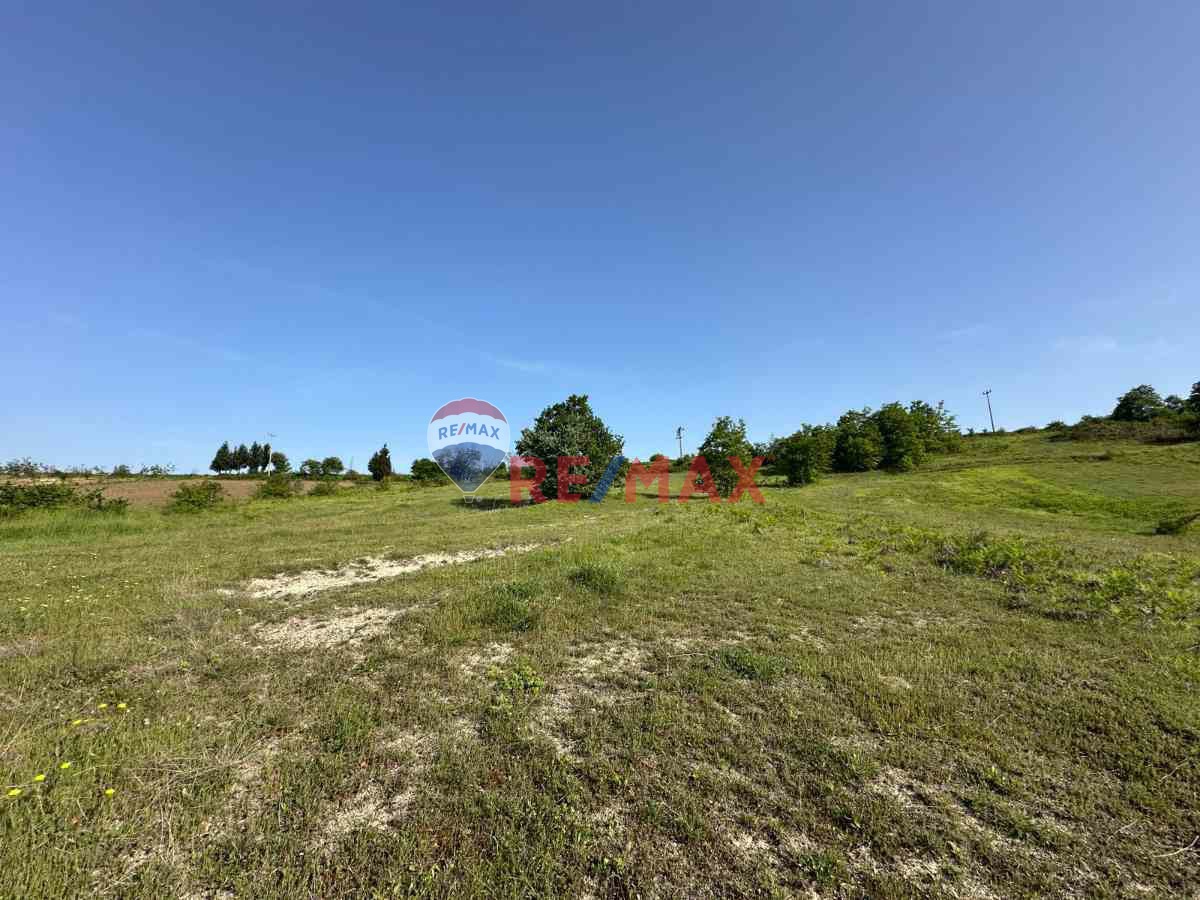 KOCAELİ KANDIRA GONCAAYDINDA ASFALT YOLA CEPHE OSB'YE YAKIN SATILIK 1925M² TARLA