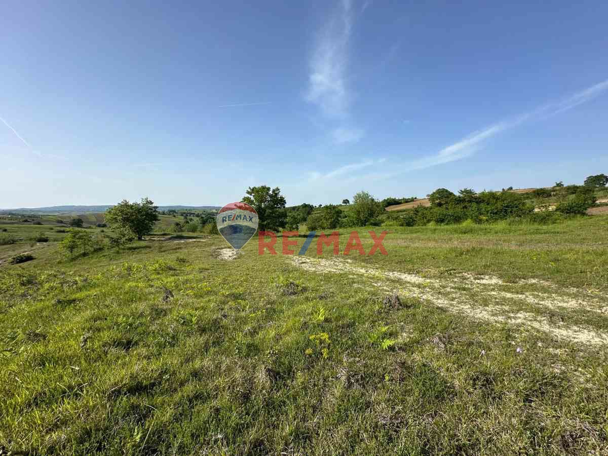 KOCAELİ KANDIRA GONCAAYDINDA ASFALT YOLA CEPHE OSB'YE YAKIN SATILIK 1925M² TARLA