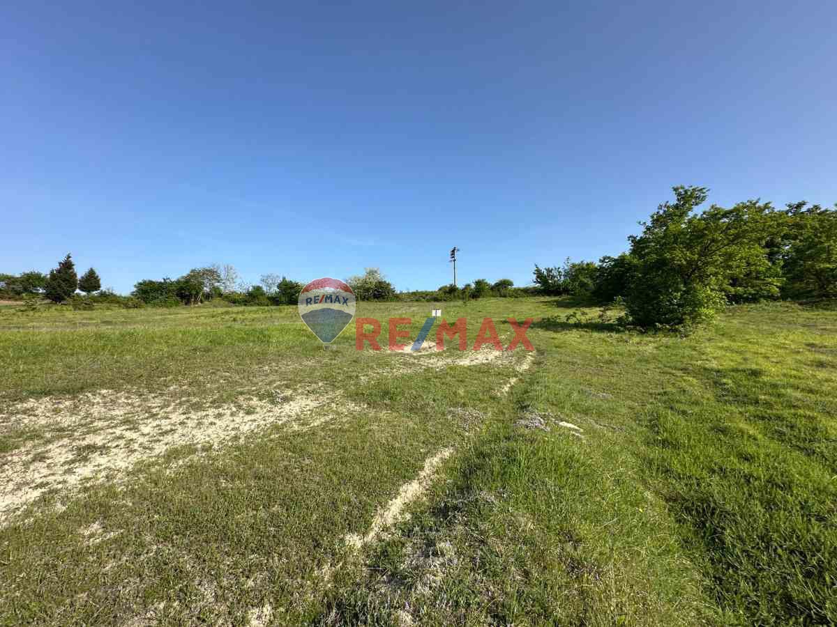 KOCAELİ KANDIRA GONCAAYDINDA ASFALT YOLA CEPHE OSB'YE YAKIN SATILIK 1925M² TARLA