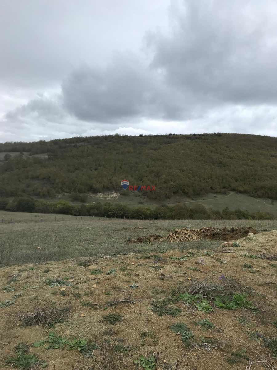 KAVAK KARASLAN'DA /SATILIK TEK TAPU TARLA