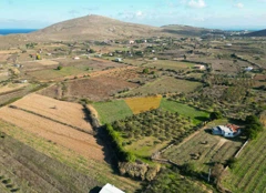 ÇANAKKALE BOZCAADA ÇAYIR MEVKII SATILIK 1.450 M2 TARLA