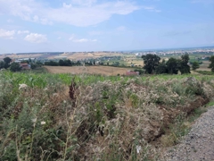 REMAX SEVCAN GÜRLEVİKTEN 19MAYIS YEŞİLOVA DA SATILIK FIRSAT ARSA