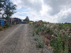 REMAX SEVCAN GÜRLEVİKTEN 19MAYIS YEŞİLOVA DA SATILIK FIRSAT ARSA