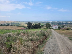 REMAX SEVCAN GÜRLEVİKTEN 19MAYIS YEŞİLOVA DA SATILIK FIRSAT ARSA