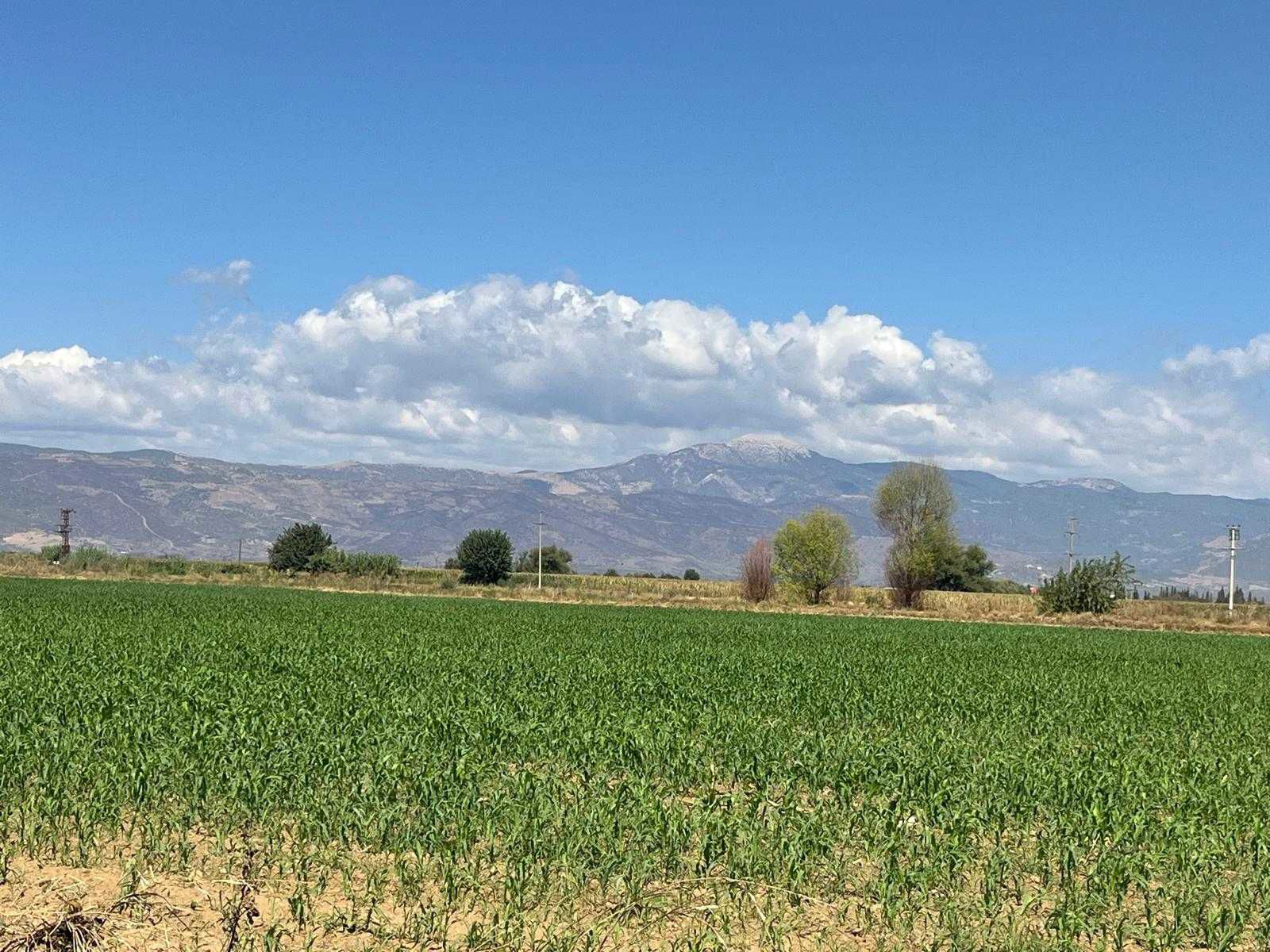 ÖDEMIŞ KARAKOVA BÖLGESINDE VERIMLI TARLA