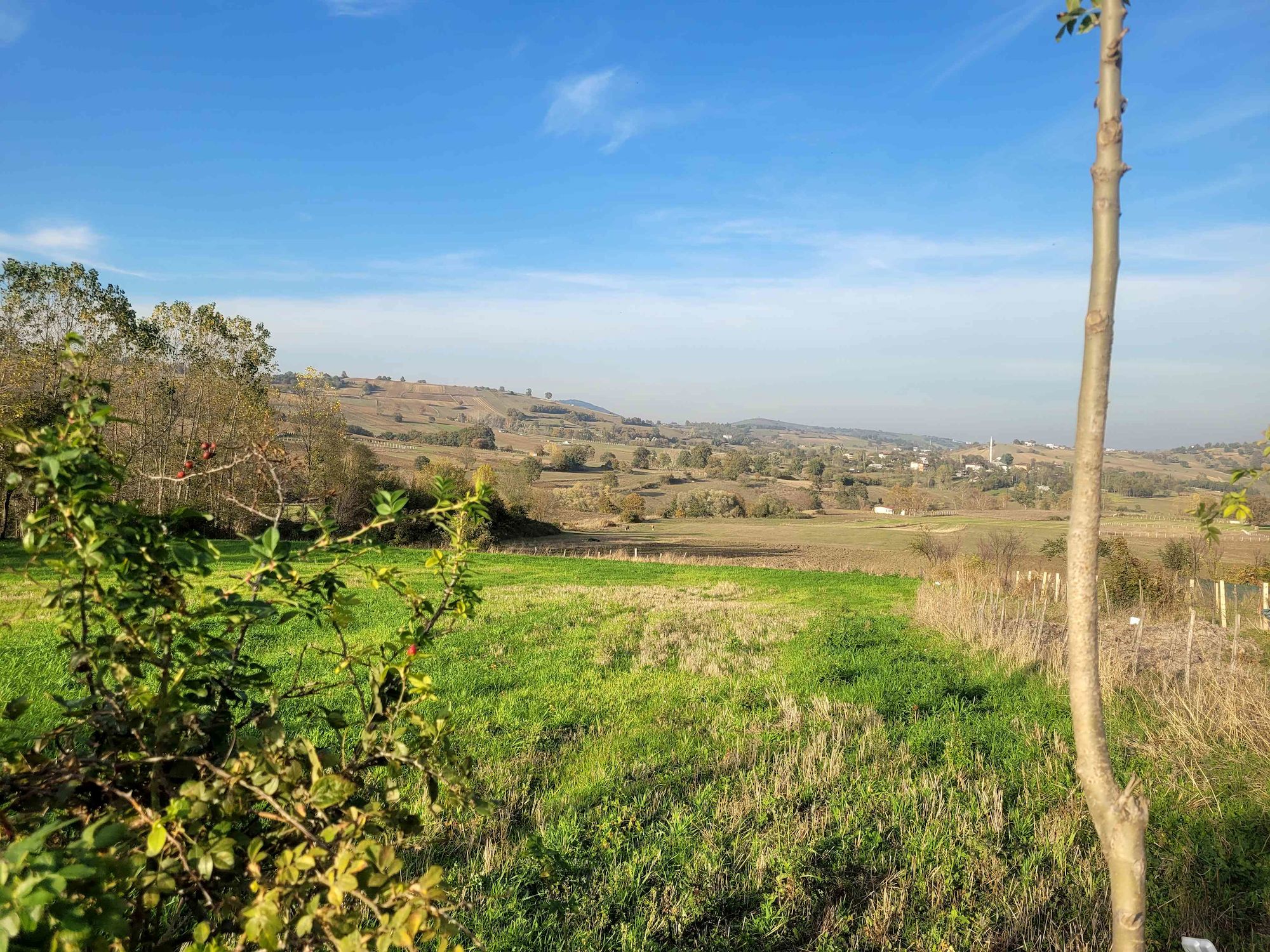 REMAX SEVCAN GÜRLEVİKTEN ATAKUM DA SATILIK FIRSAT TARLA