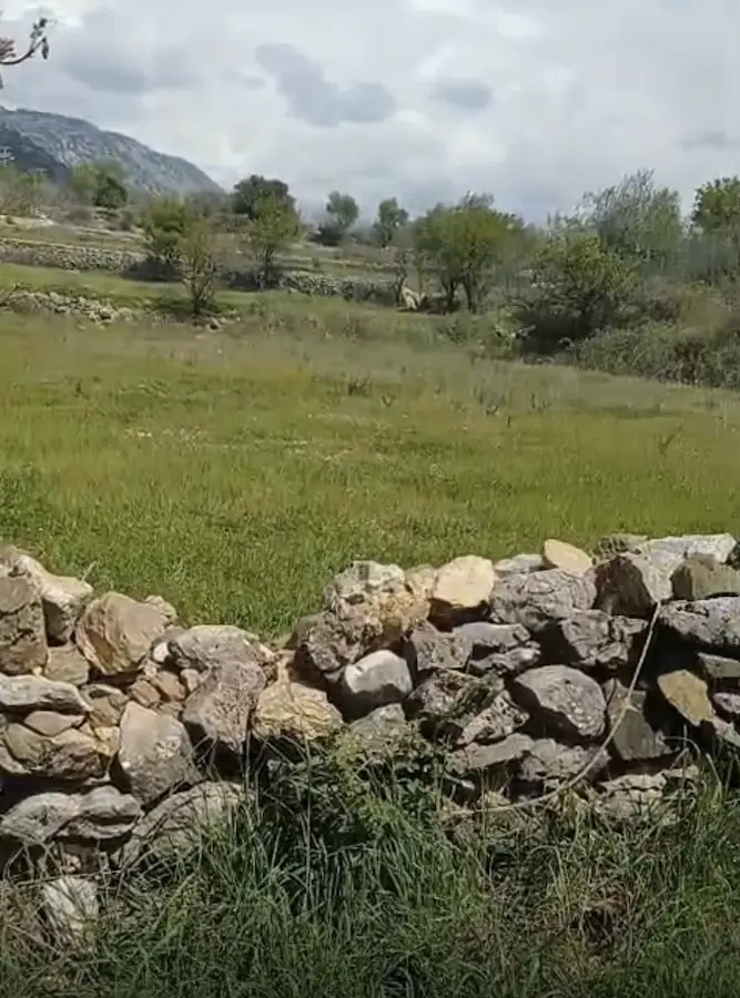 AKSEKİ TAŞLICA DA 589 M2 SATILIK TARLA
