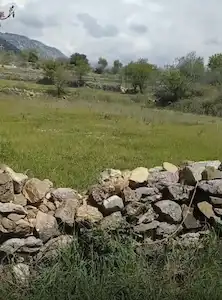 AKSEKİ TAŞLICA DA 589 M2 SATILIK TARLA