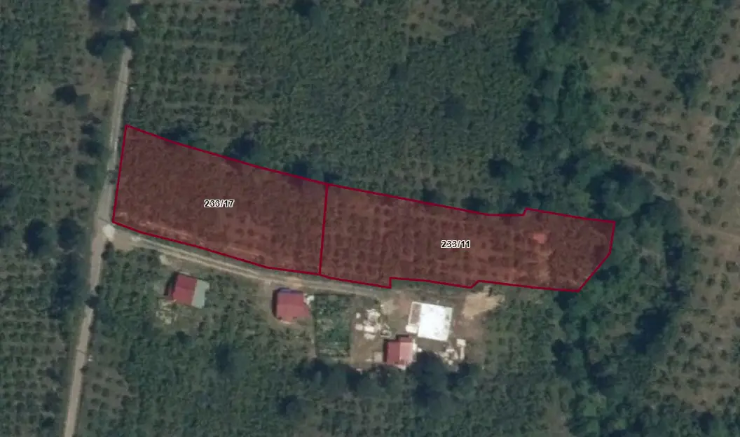 SAKARLI/YENIMAHALLE DE SATILIK 4311 M² FINDIK BAHÇESI