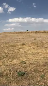 REMAX ARTIS'DEN NARMAN TUZLA'DA SATILIK TARLA