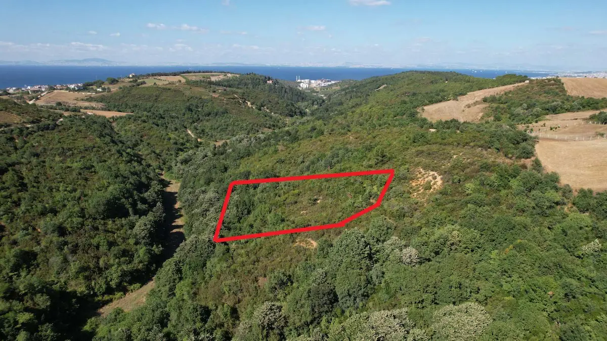 TERMAL AKKÖY'DE SATILIK BAĞ NİTELİĞİNDE 2820 M² TARLA