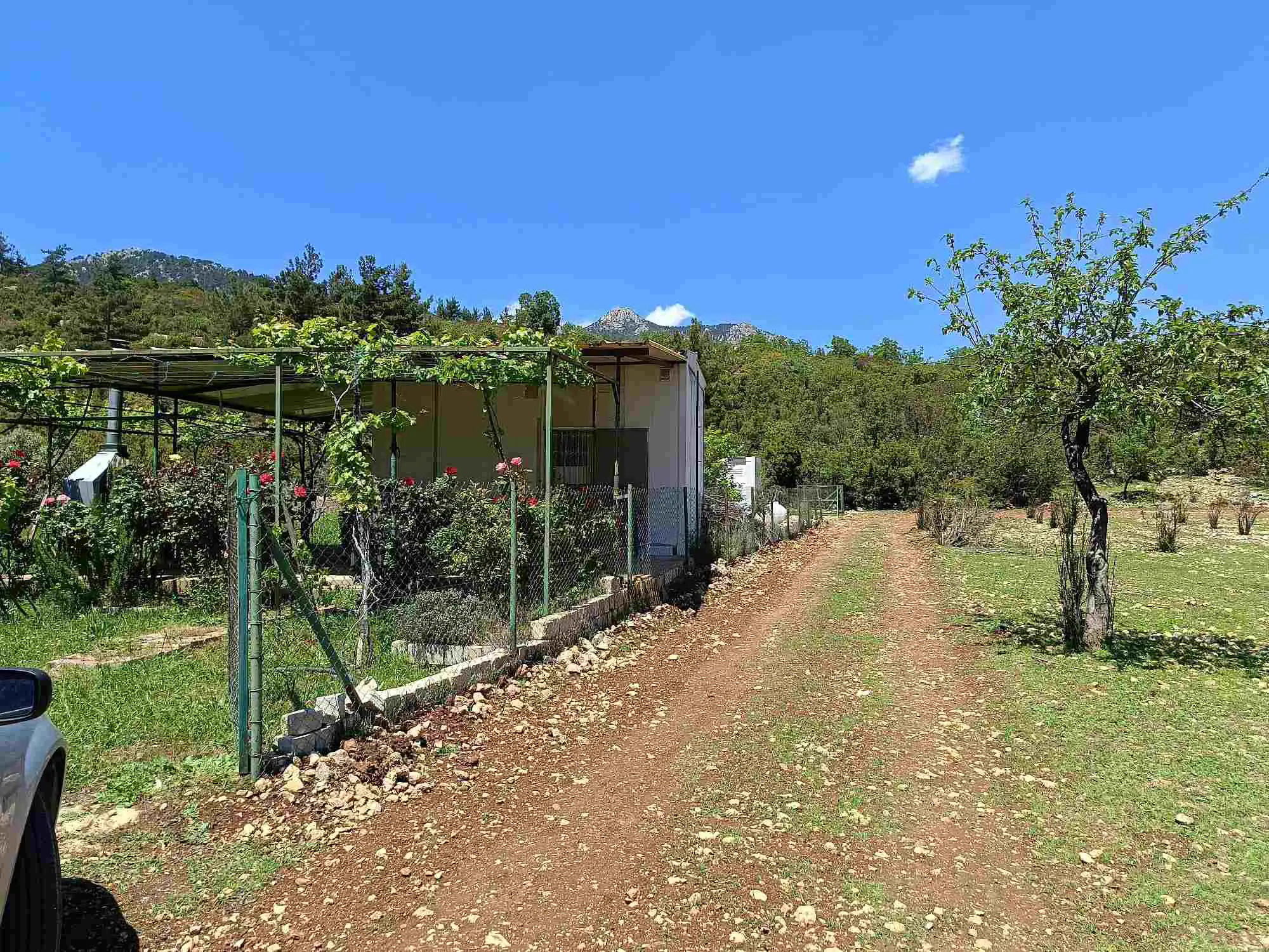 Property image 14