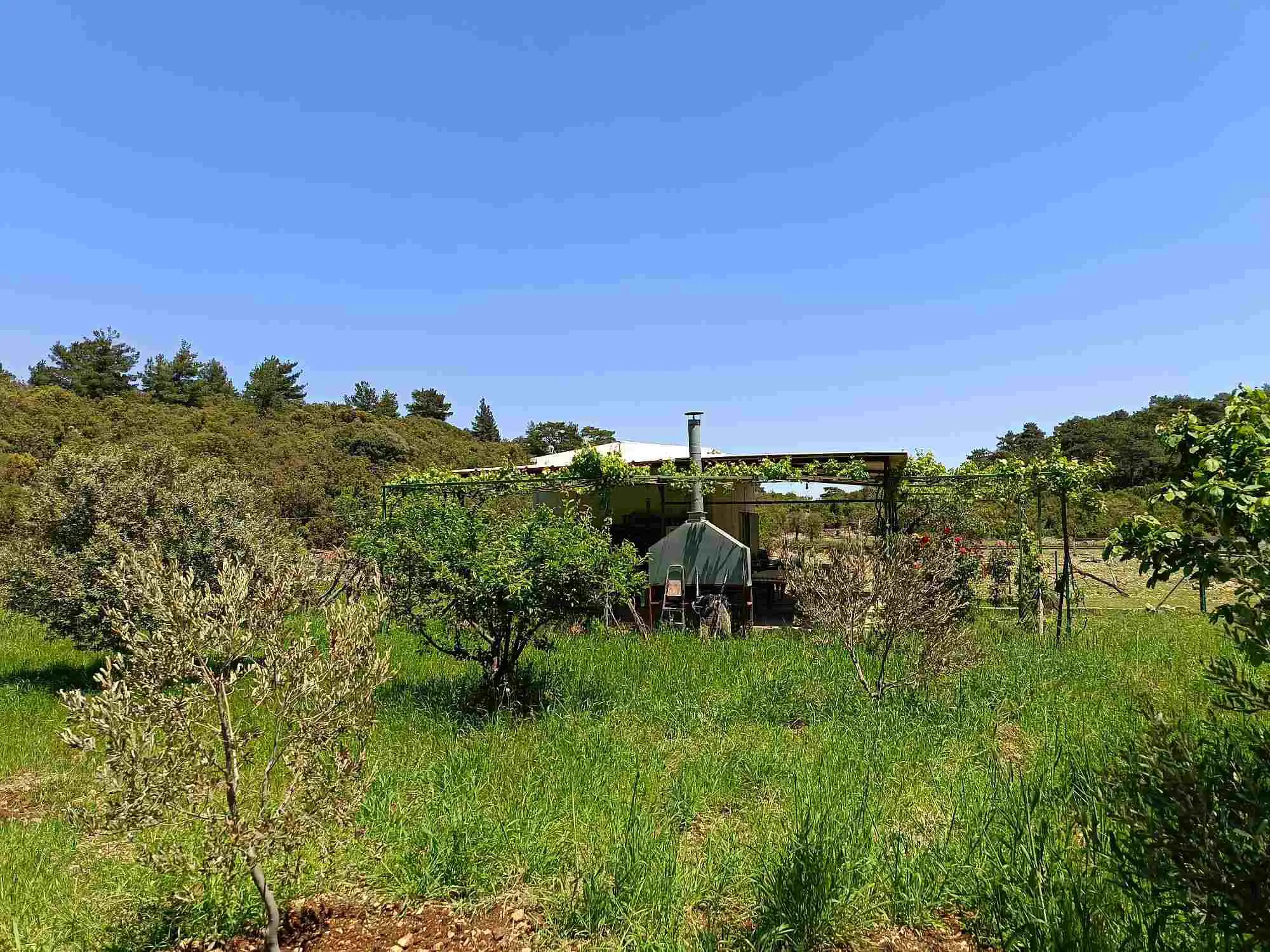 Property image 18