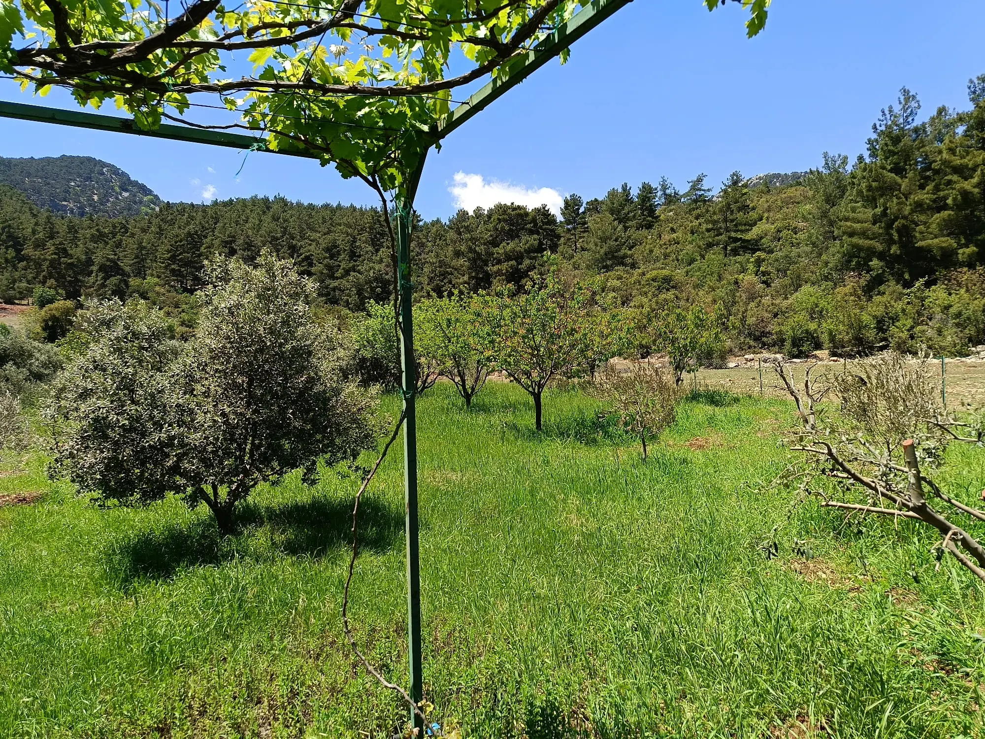 Property image 25