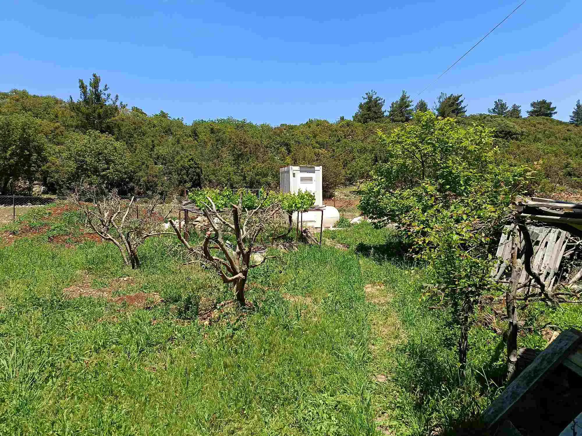 Property image 26