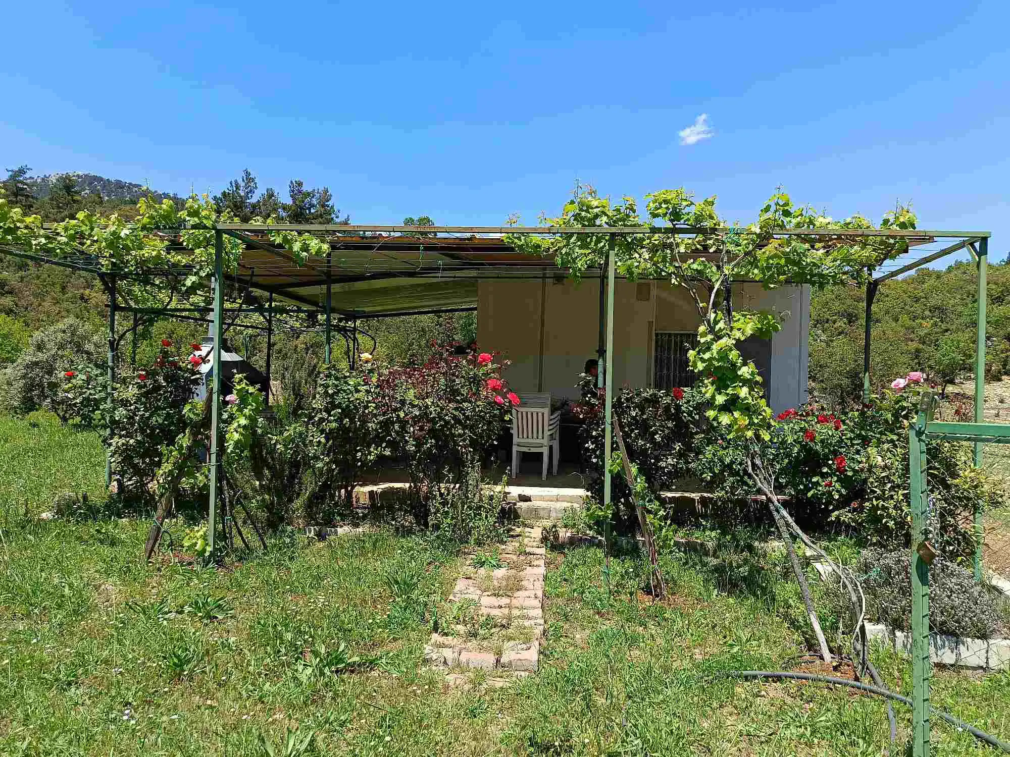 Property image 24