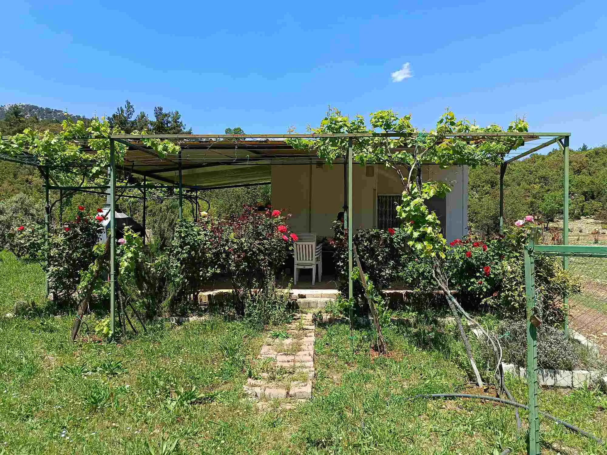 Property image 16