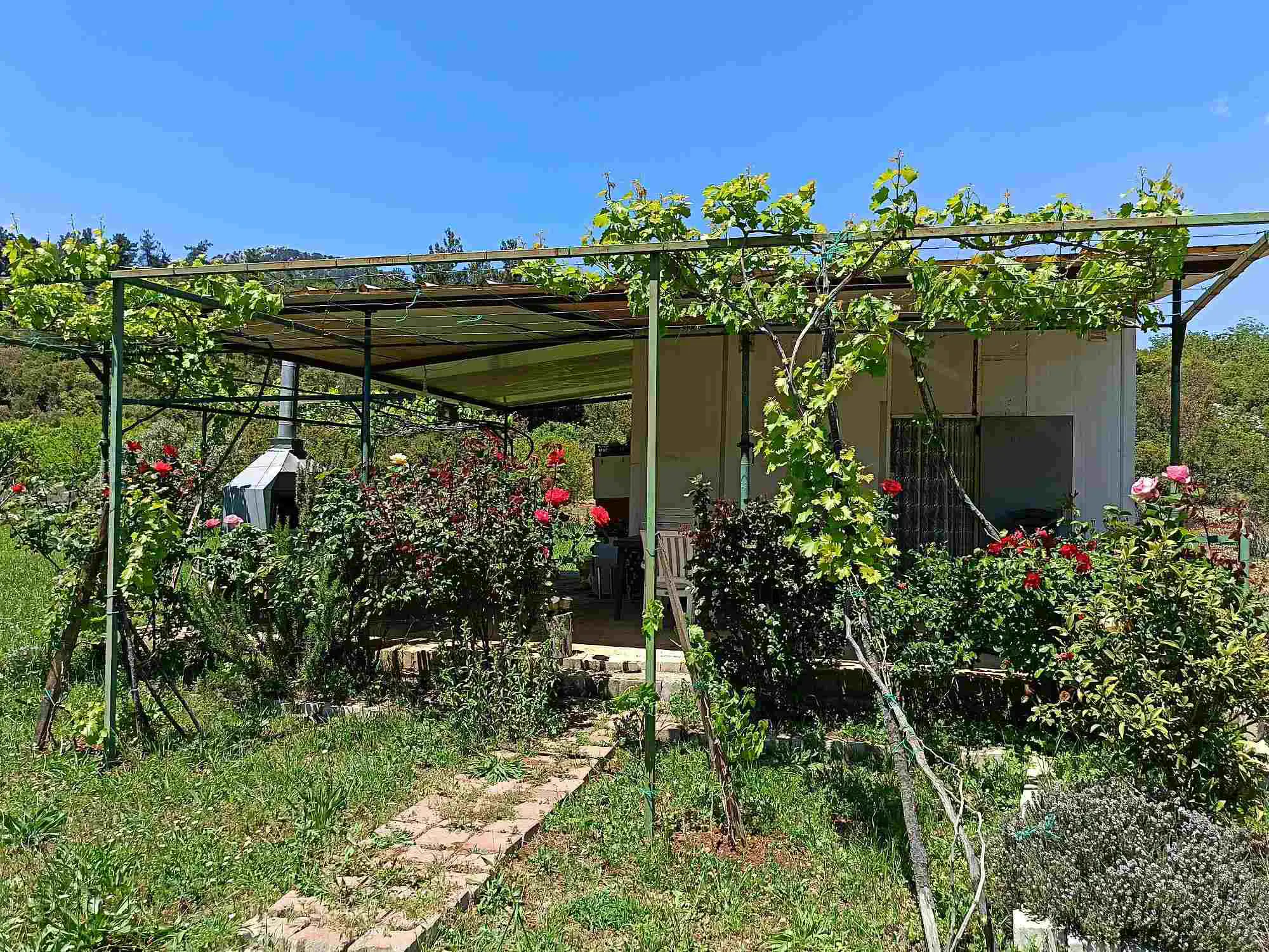 Property image 21
