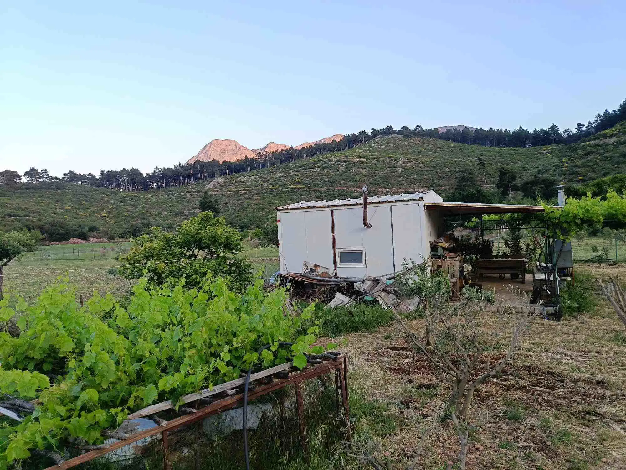 Property image 30