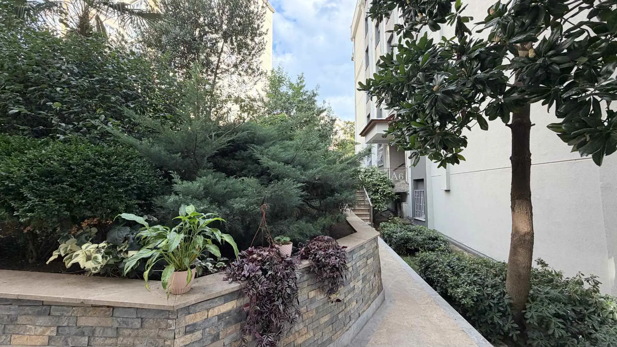 Property image 100