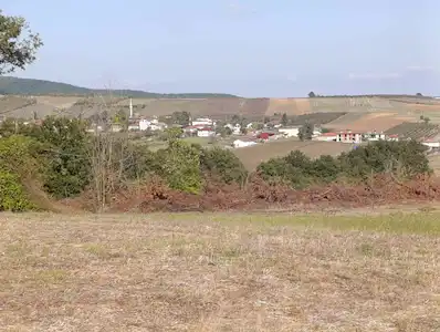 ADAPAZARI KIŞLADA KADASTRO YOLA CEPHELI YATIRIMLIK 452 M2 TARLA