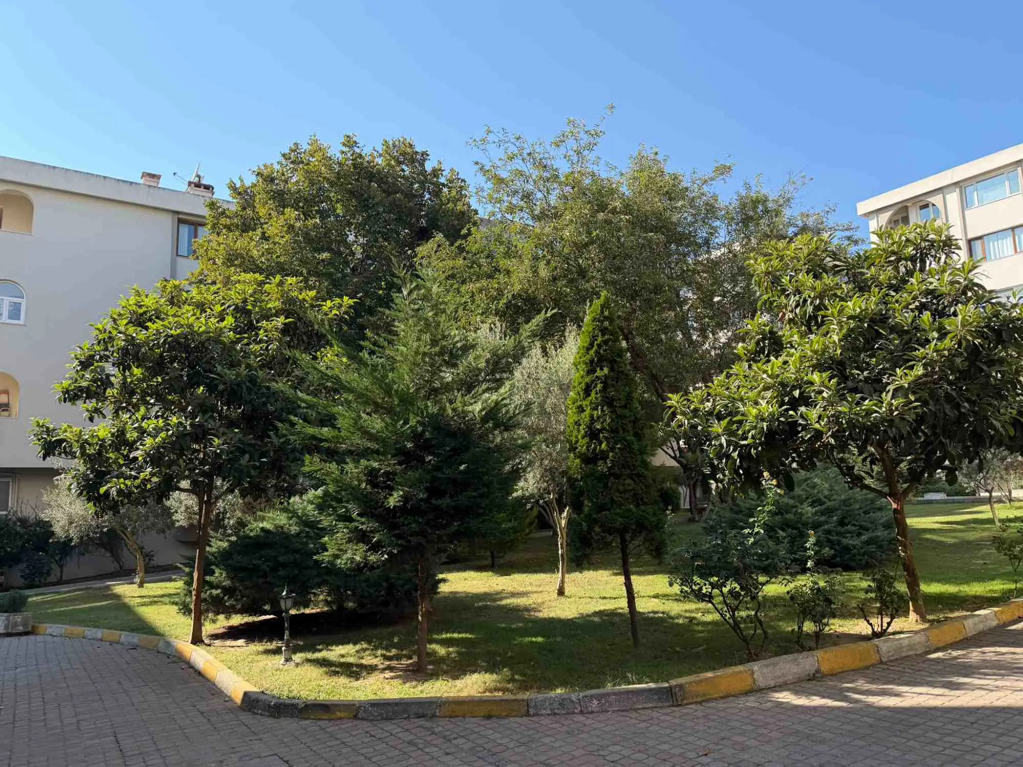 Property image 35