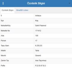 KAŞ SAHİL PALAMUT MAHALLESİNDE  SATILIK ARAZİ