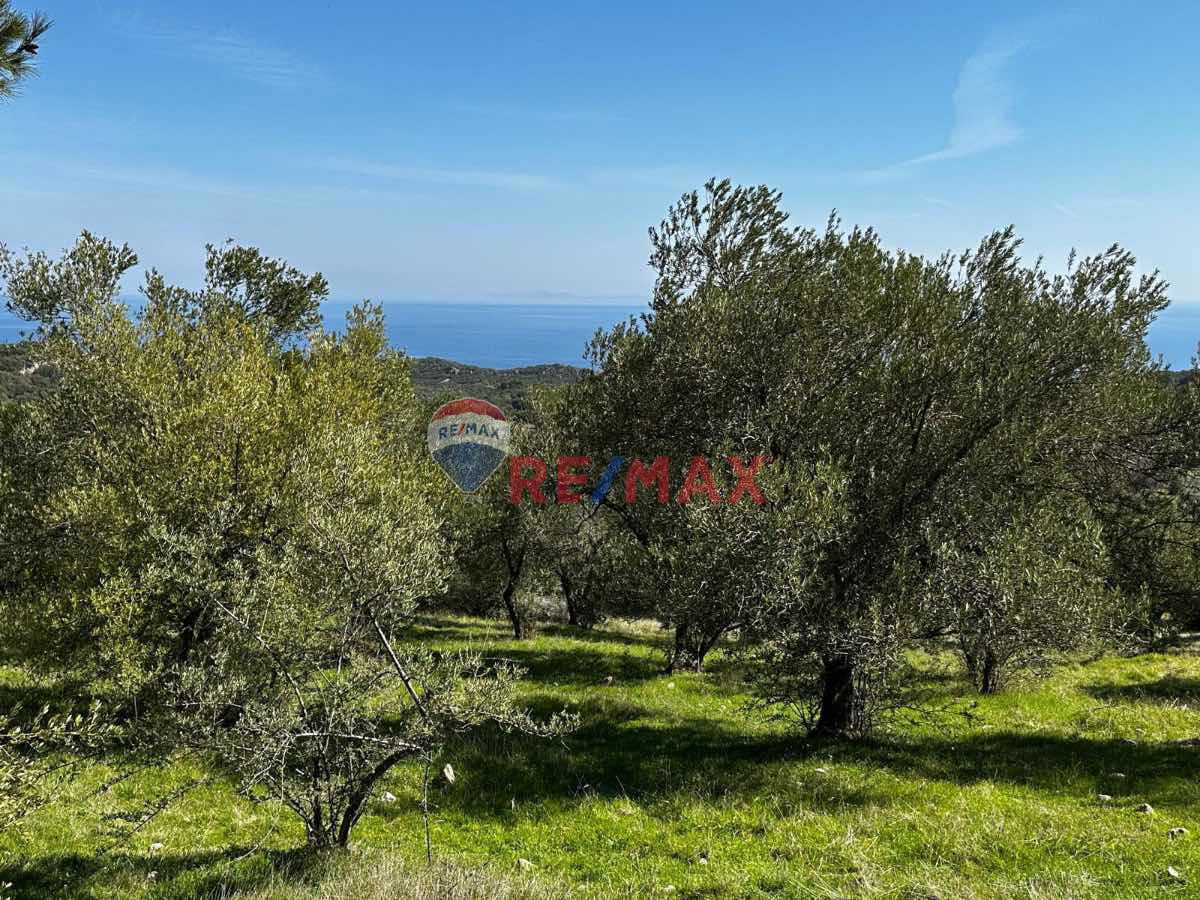 REMAX LAVANDA'DAN ÇANAKKALE BEHRAMKALE'DE FULL DENİZ MANZARALI YATIRIMLIK ZEYTİNLİK