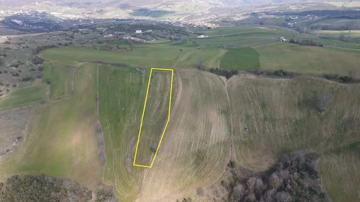 RE/MAX MİR'DEN ALİHOCALAR'DA 2954M2 FIRSAT TARLA!