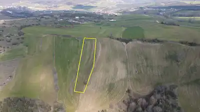 RE/MAX MİR'DEN ALİHOCALAR'DA 2954M2 FIRSAT TARLA!