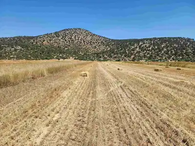 KORKUTELİ YAZIR KÖYÜ YOL CEPHELİ SATILIK TARLA