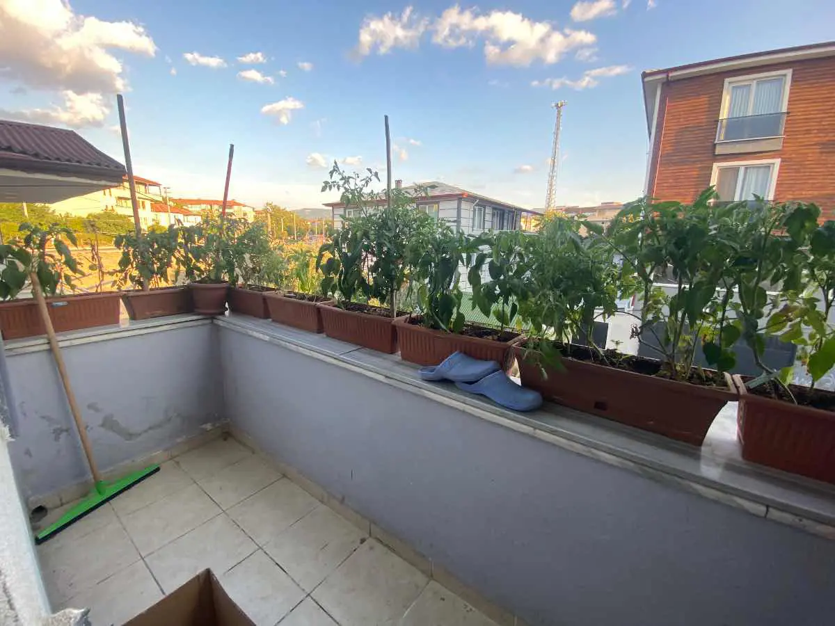Property image 24