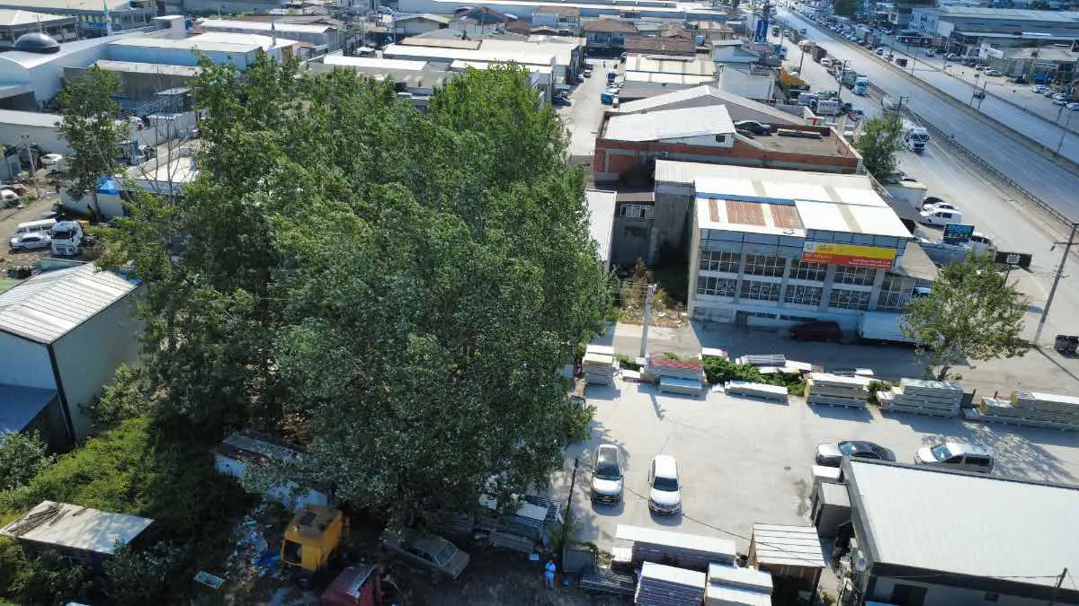 ARİFİYE ARTVİN SANAYİ SİTESİ| 160 M² İMARLI SATILIK ARSA