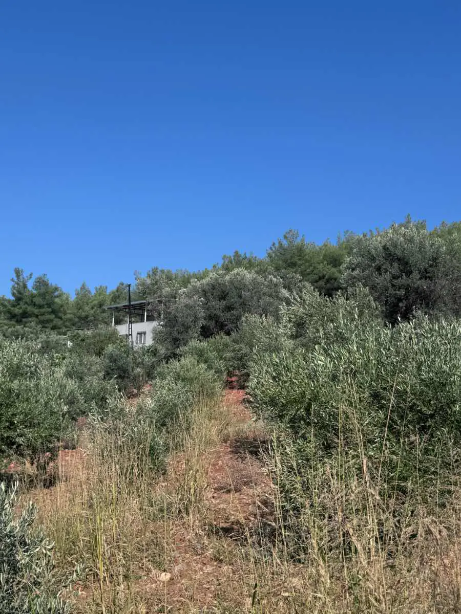 Property image 26