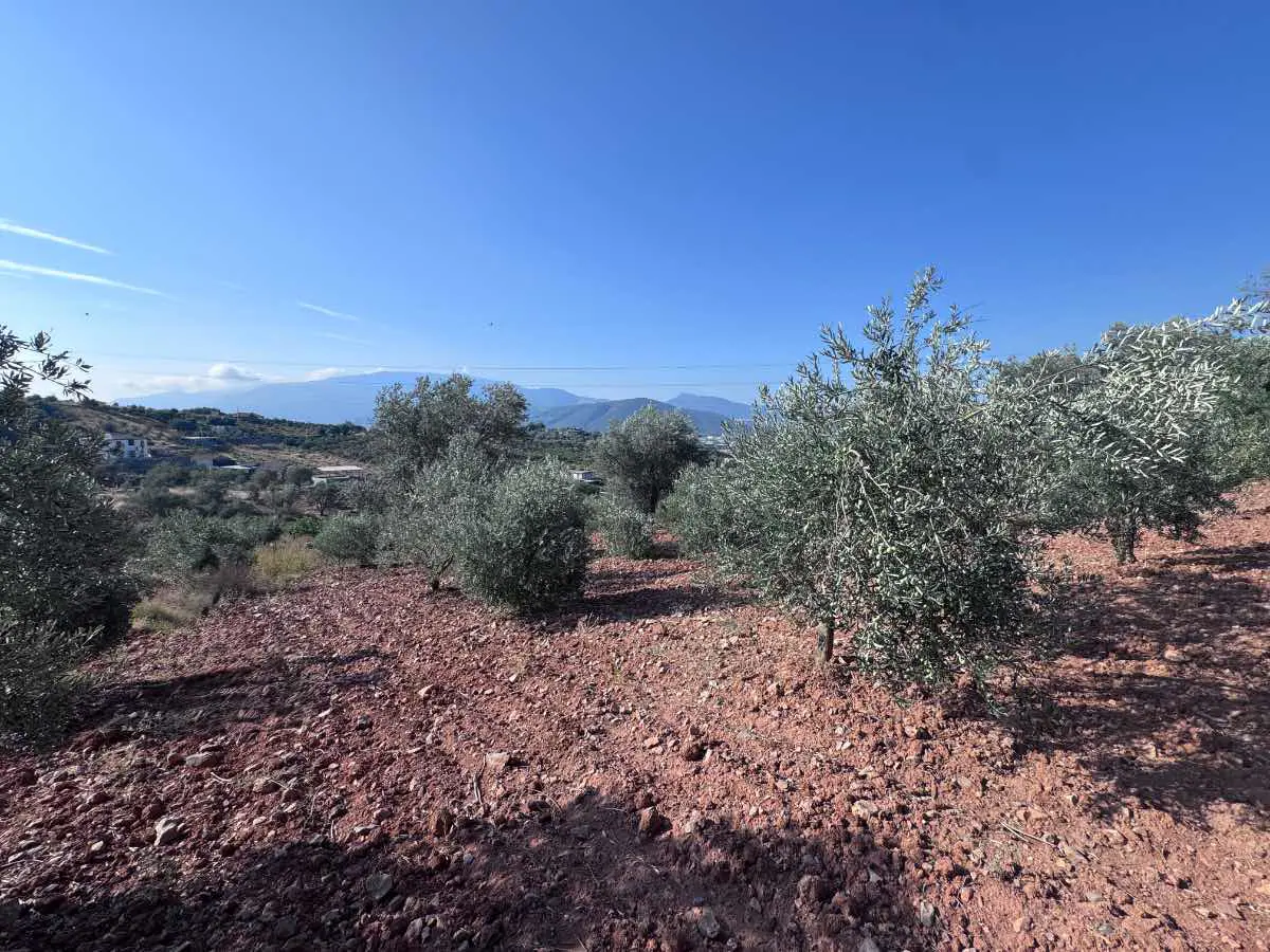 Property image 18